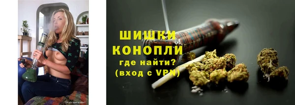 гидра Медногорск