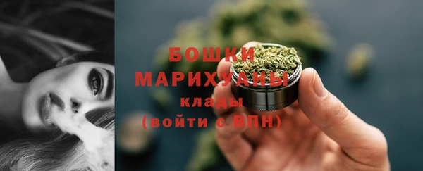 гидра Медногорск