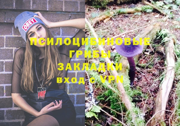 гидра Медногорск