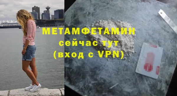 прущие грибы Магадан
