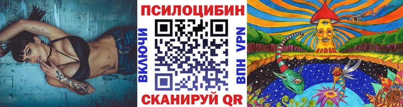 Псилоцибиновые грибы Cubensis  купить наркотики цена  Нальчик 